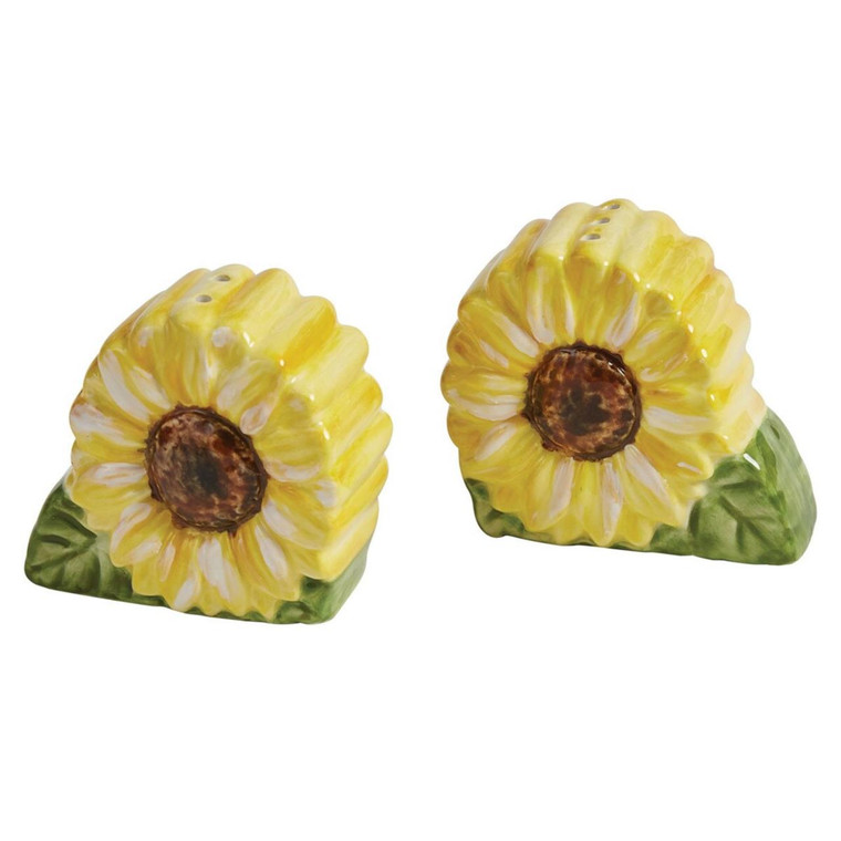 Follow The Sun Salt & Pepper Set